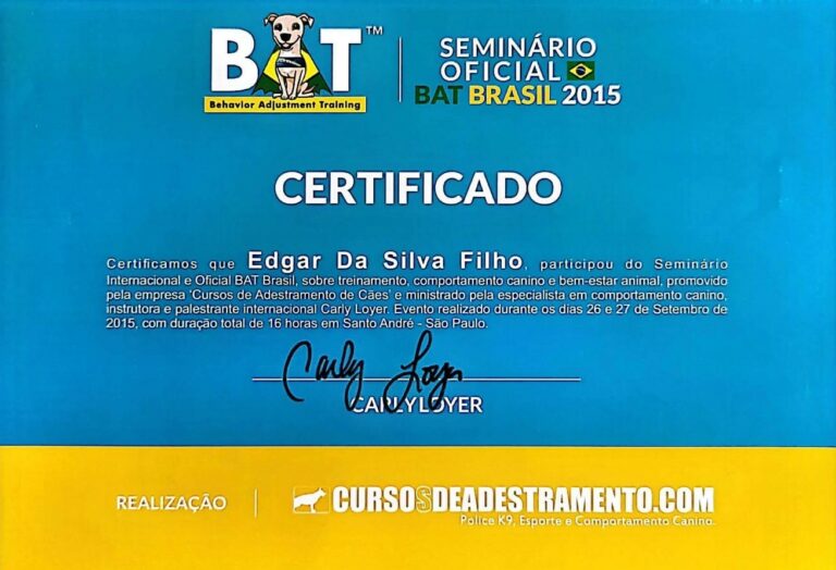 Certificado Seminário BAT Brasil