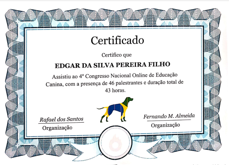 Certificado congresso